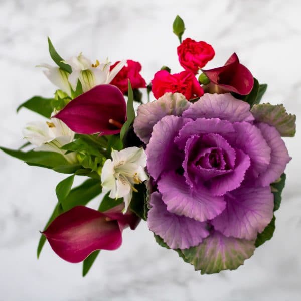 Arrangement of flowers with dark purple calla lillies, pink carnations, alstromeria, and a tiny purple cabbage flower head