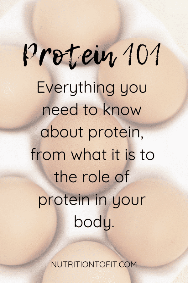 Graphic with brown eggs in the background that states "Protein 101: Everything you need to know about protein, from what it is to the role of protein in your body."