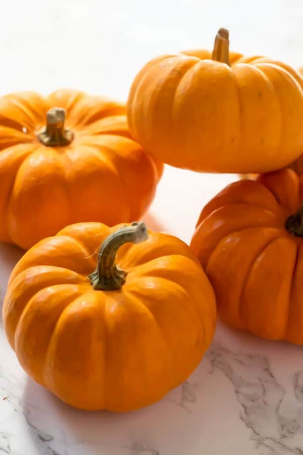 a pile of mini pumpkins