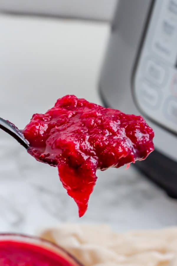 A close up spoonful of cranberry sauce.