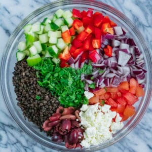 all ingredients in a bowl for greek lentil salad