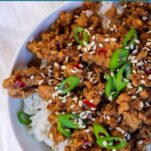 a bowl of white rice topped with saucy ground turkey, dotted with red chili flakes, green onions, and sesame seeds