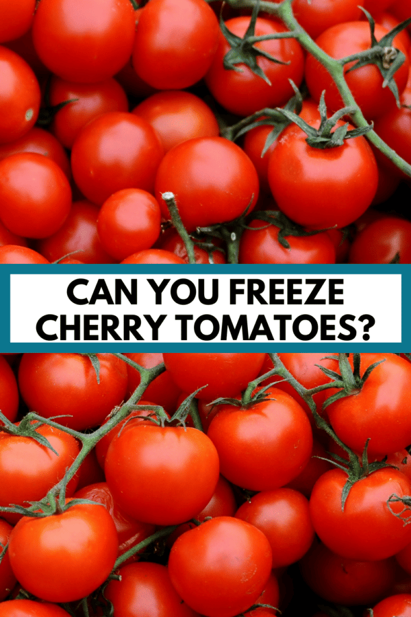 close up of cherry tomatoes with text, "Can You Freeze Cherry Tomatoes?"