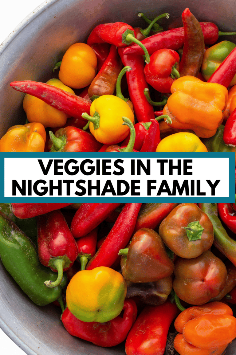 Nightshade Vegetables List