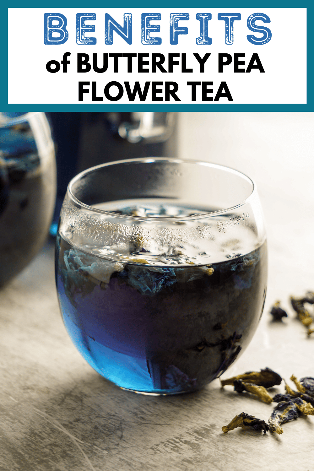 a steaming glass mug of steeping blue tea with text, "the benefits of butterfly pea flower tea"