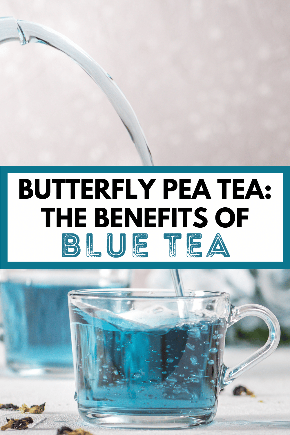 pouring a glass mug of pale blue tea with text, "butterfly pea tea: the benefits of blue tea"