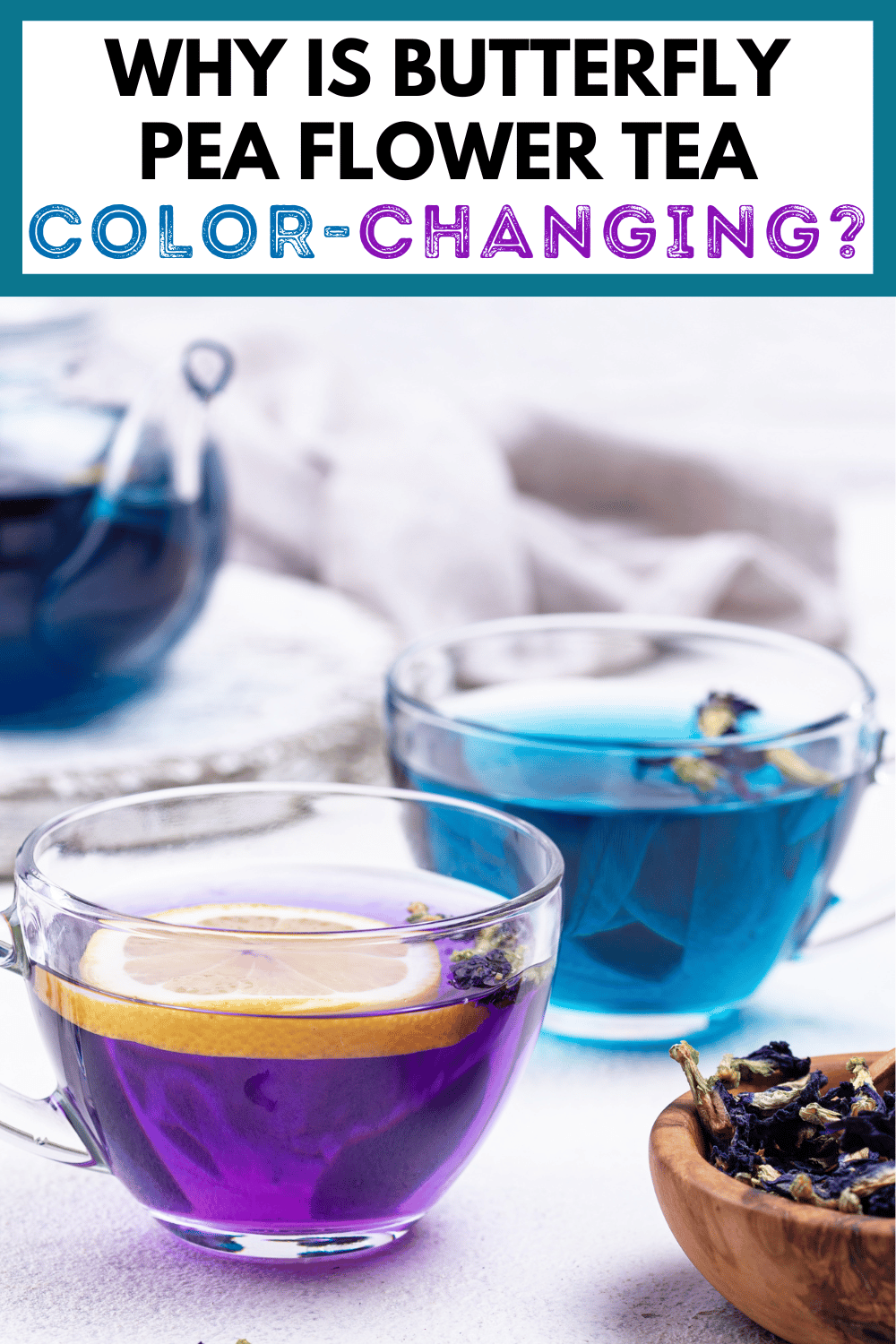 a glass of blue tea and a glass of purple tea with text, "why is butterfly pea flower tea color-changing?"