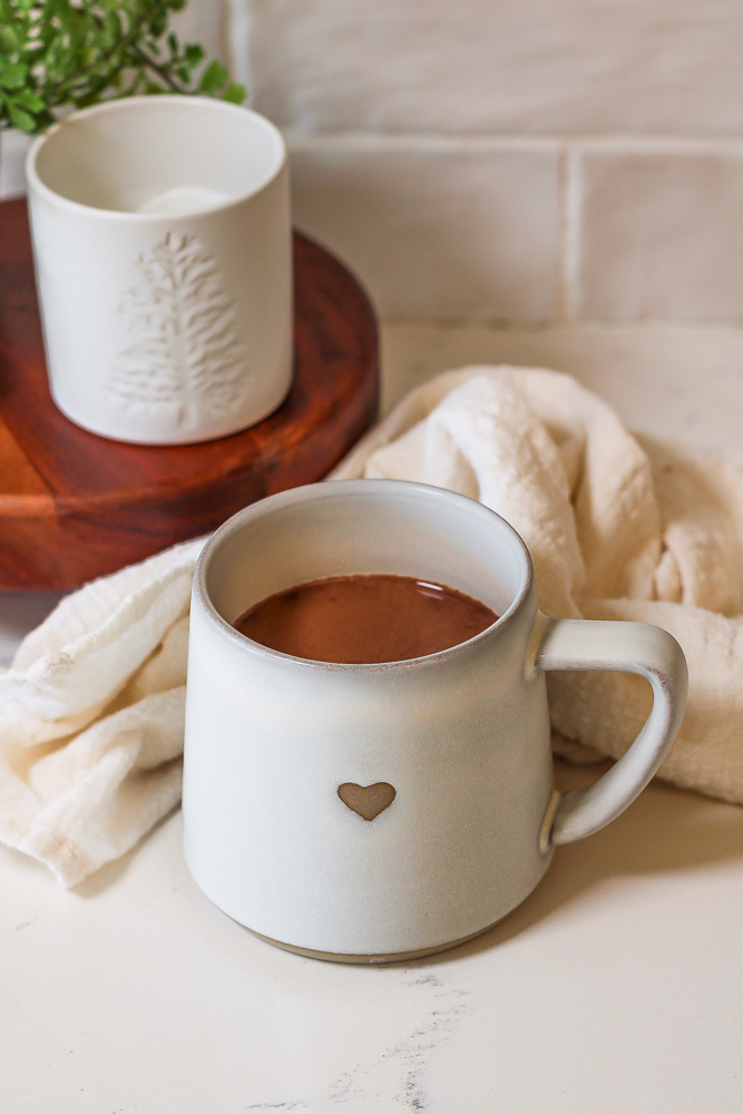 a mug of chocolate protein hot chocolate