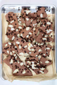 broken pieces of frozen chocolate yogurt bark on a pan