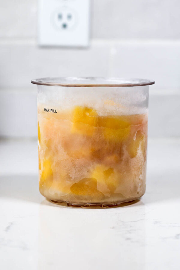 frozen ninja creami pint of peach mango sorbet