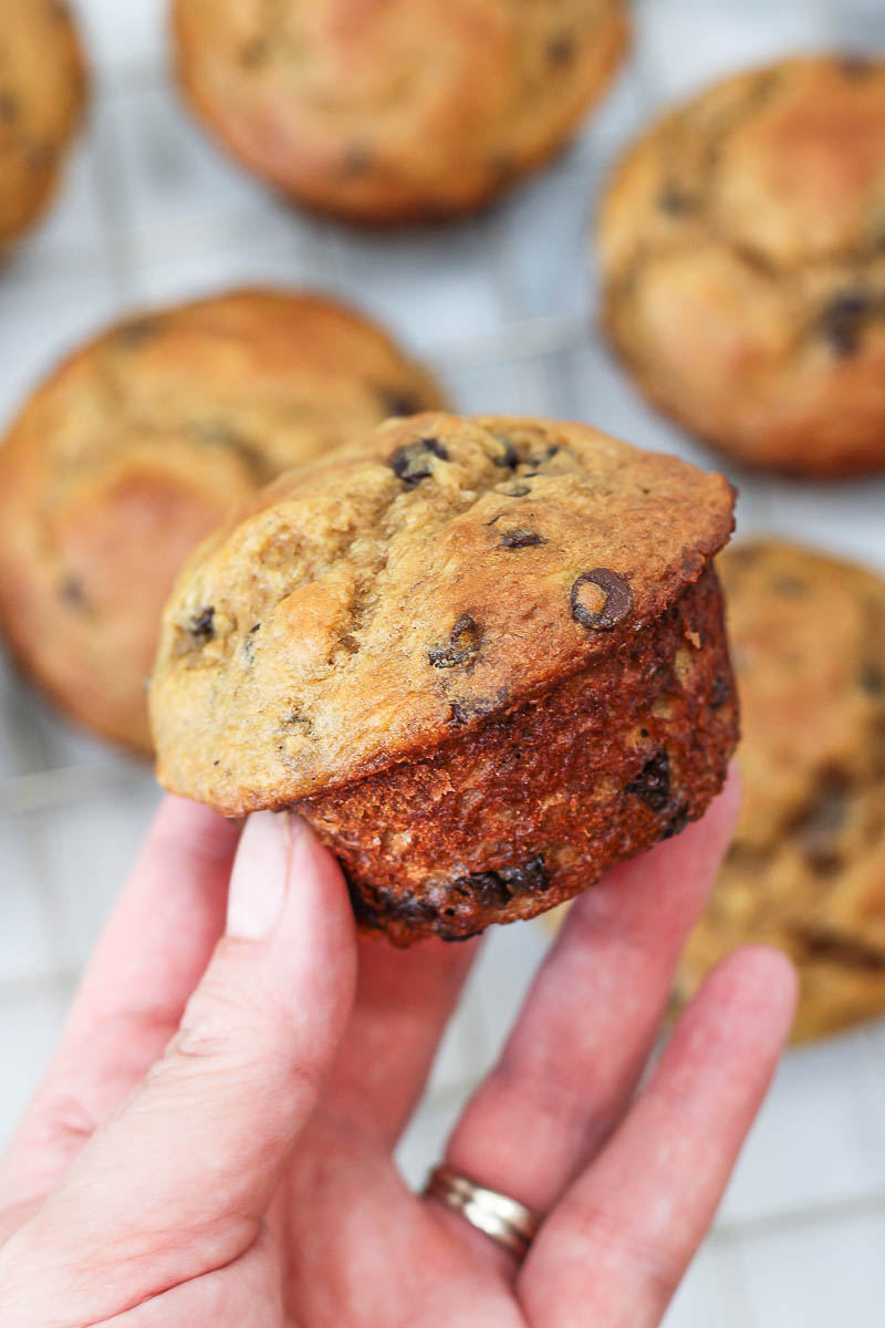 a hand holding a greek yogurt banana muffin