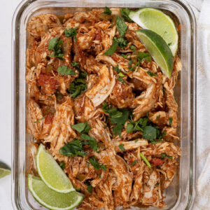 slow cooker salsa chicken